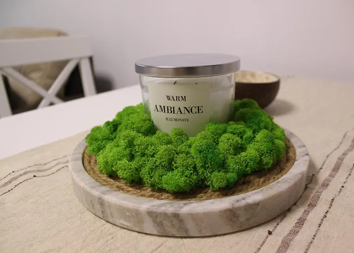 Perspective View Apartment Veliko Tarnovo